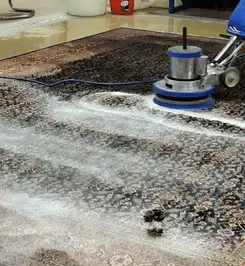 Professional rug cleaning with a rotary floor machine and shampoo foam, deep-cleaning an area rug New Orleans, LA.